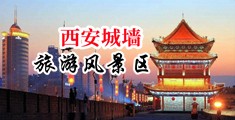 操外国保洁干少妇BB中国陕西-西安城墙旅游风景区